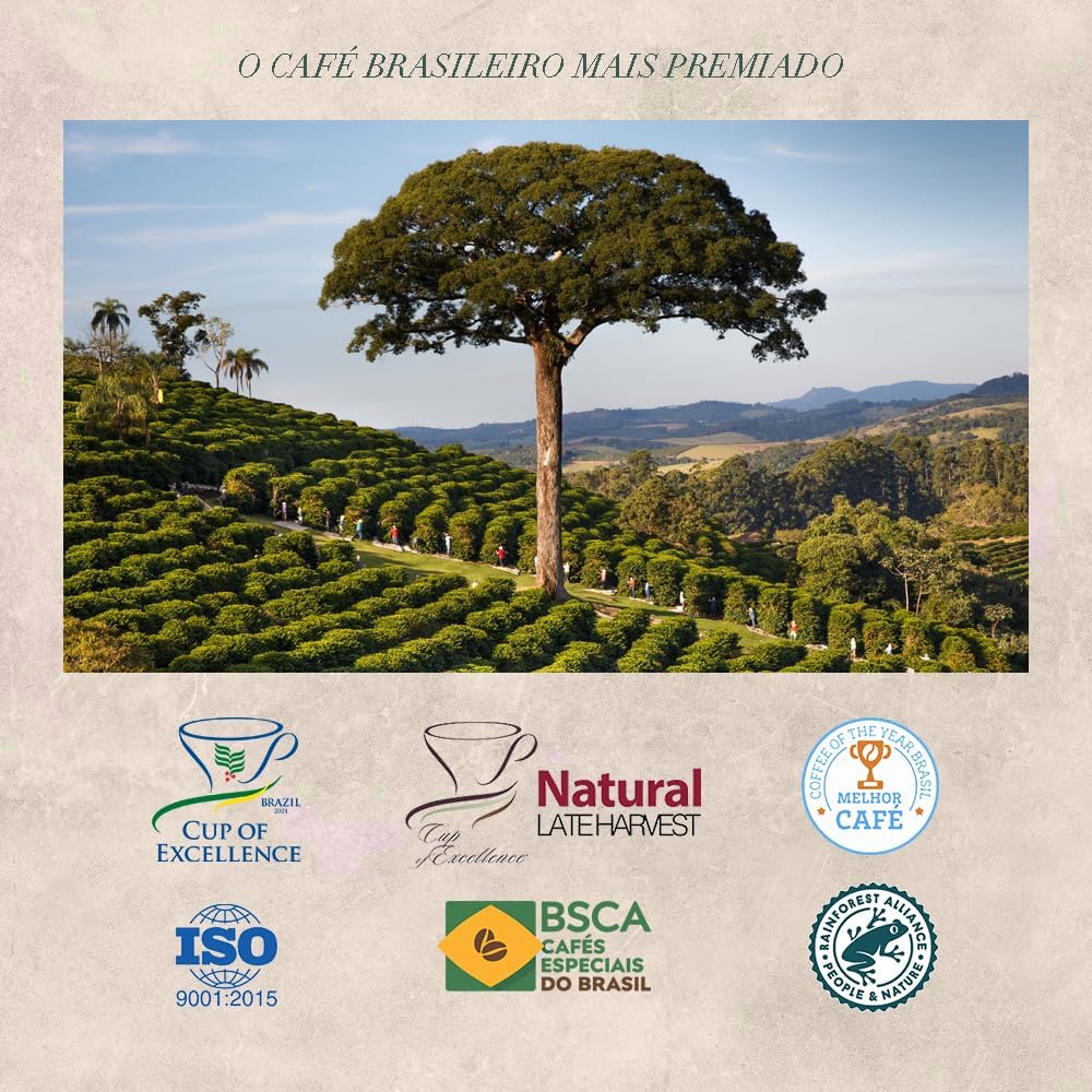 Orfeu Café em Grãos Bourbon Amarelo 250g